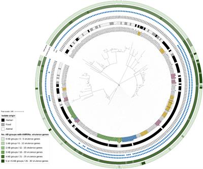 Transforming Shiga toxin-producing Escherichia coli surveillance through whole genome sequencing in food safety practices